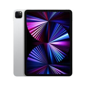Ipad Pro 11 (2021) 256GB Wifi + Sim