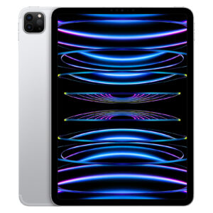 Ipad Pro 11 (2022) 1TB Wifi