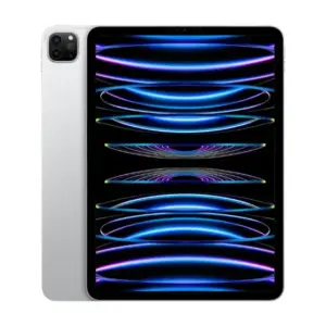 Ipad Pro 11 (2022) 1TB Wifi + Sim