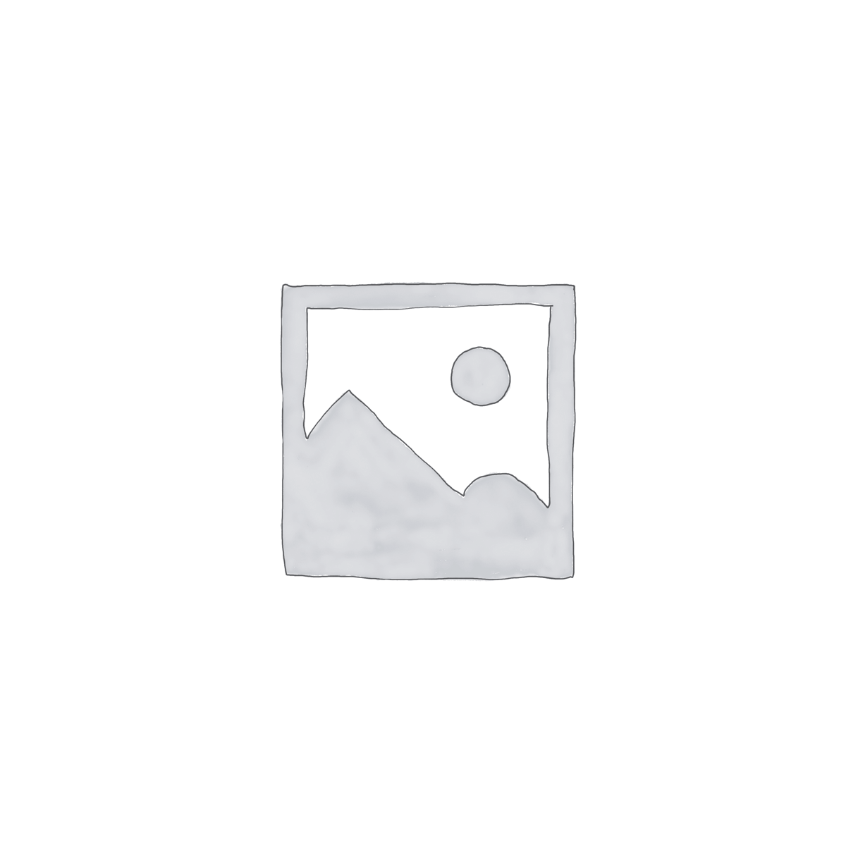 Ipad Pro 9.7 (2016) 128GB Wifi